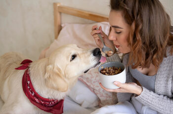 Como Escolher o Melhor Alimento para Seu Pet: Dicas e Orientações