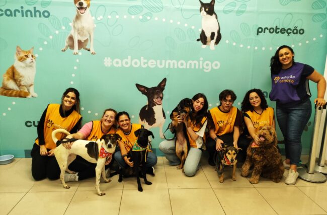 Shopping Metropolitano Barra promove feira de adoção de cães e gatos no próximo sábado, 10 de agosto